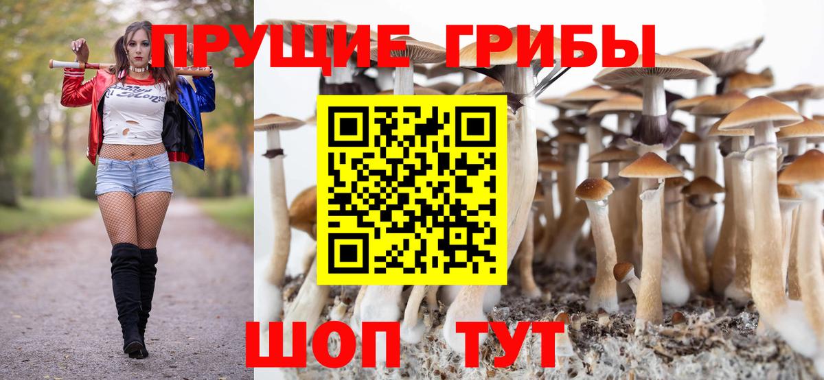Полысаево  Псилоцибиновые грибы Psilocybine cubensis  Вход с VPN 